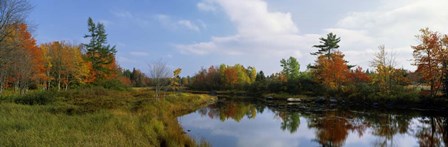 Lake in a forest, Mount Desert Island, Hancock County, Maine by Panoramic Images art print