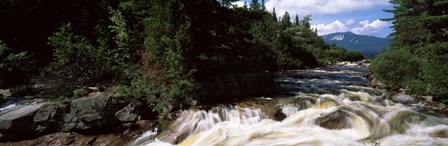 Stream flowing through a Forest, Little Niagara Falls, Maine by Panoramic Images art print