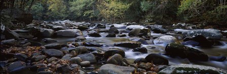 Rocks in a River, Great Smoky Mountains National Park, Tennessee by Panoramic Images art print