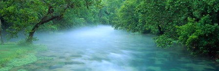 Creek flowing through a Forest, Ozark National Scenic Riverways, Ozark Mountains, Missouri by Panoramic Images art print