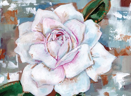 Rose by Anne Seay art print