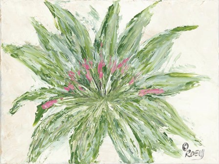 Succulent No. 1 by Roey Ebert art print