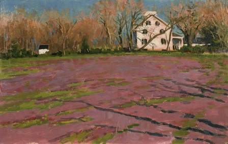 Giligo's Field by Michael Budden art print