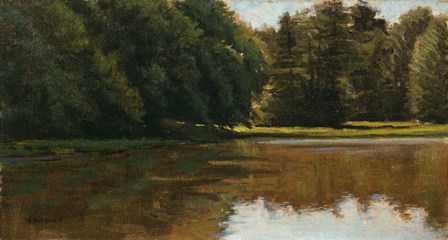 Summer Light - White Pine Rd Pond by Michael Budden art print