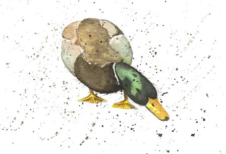 Duck 4 by Michelle Campbell art print