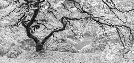 The Tree by Moises Levy art print