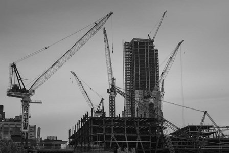 New York Cranes by Moises Levy art print