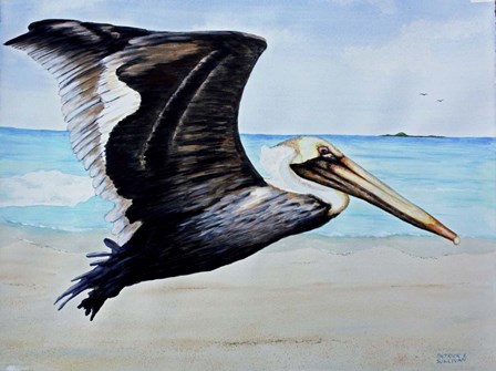 Large Pelican by Patrick Sullivan art print