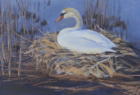 Swan Nest by Rusty Frentner art print