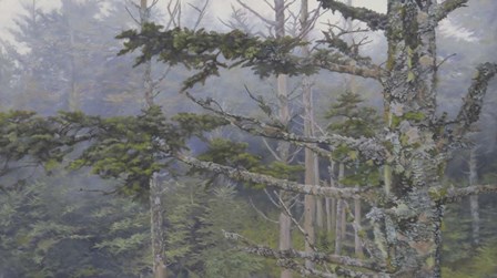 Forest Trees by Rusty Frentner art print