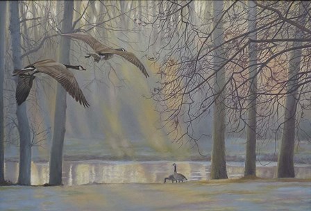 Geese An Pond by Rusty Frentner art print