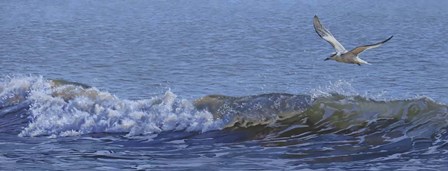 Sailing by Rusty Frentner art print