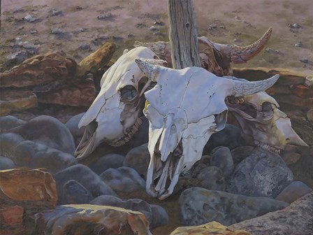 Where The Buffalo Used To Roam by Rusty Frentner art print