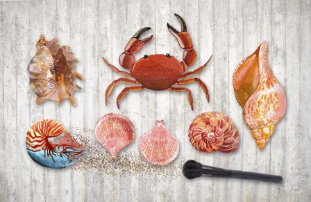 Marine Biology by Tina Lavoie art print