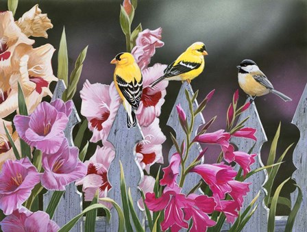 Feathered Friends and Gladiolus by William Vanderdasson art print