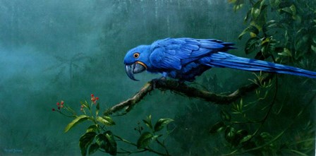 Hyacinth by Michael Jackson art print