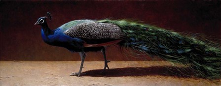 Peacock by Michael Jackson art print
