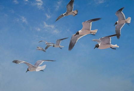 Poetry In Motion by Michael Jackson art print