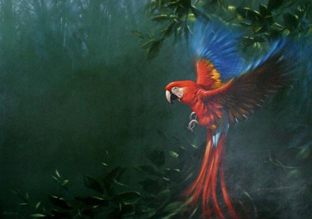 Scarlet Macaw 2 by Michael Jackson art print