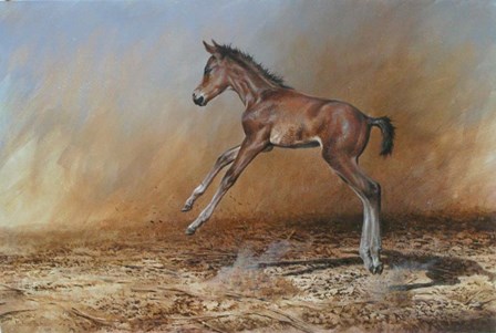 Foal Jumping For Joy by Michael Jackson art print
