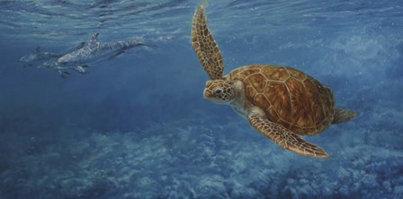 Turtle 1 by Michael Jackson art print