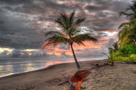 By the Edge by Robert Kaler art print