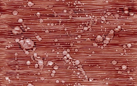 Bubbles by Stessi art print