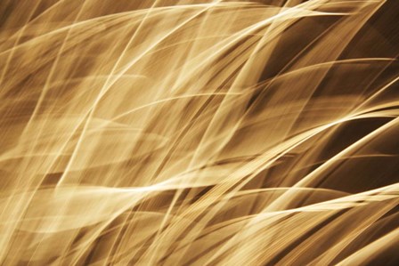 Poesia En Monocromo 2 by Stessi art print