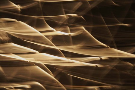 Poesia En Monocromo 9 by Stessi art print