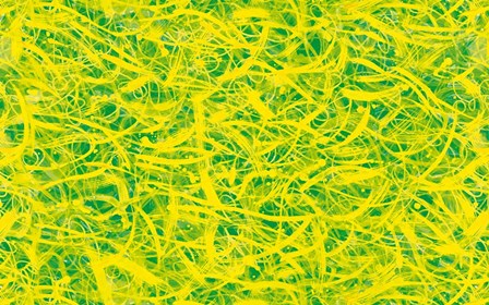 Splatter by Stessi art print