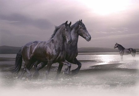 Dawn Mist by Bob Langrish art print