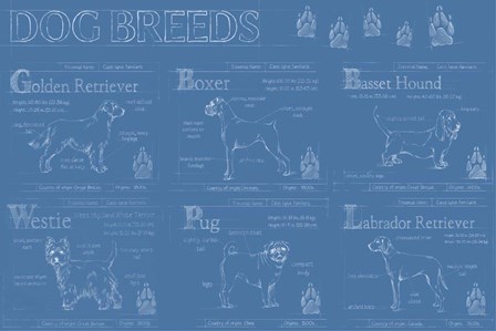 Dog Breeds Infograph by Ethan Harper art print