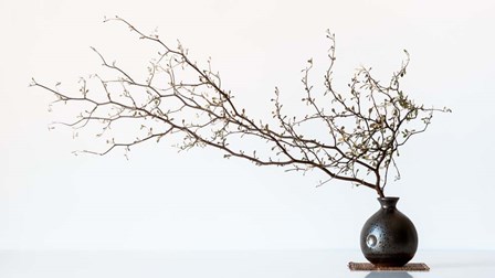 Vase And Branch by Prbimages art print