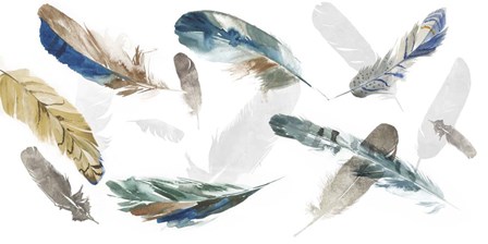 Feathery I by Aimee Wilson art print