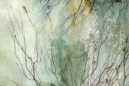 Branches II by PI Galerie art print