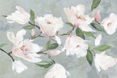 Soft Pink Magnolias by Asia Jensen art print