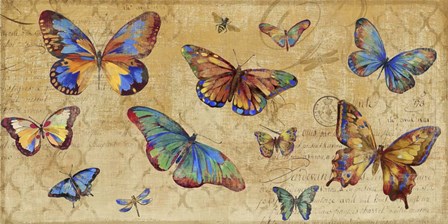Butterflies in Flight by Posters International Studio art print