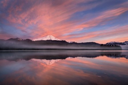Sunrise Over Mount Baker by Alan Majchrowicz art print