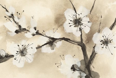 Spring Blossoms I Crop by Chris Paschke art print