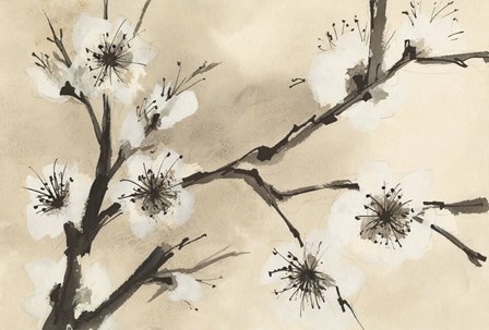 Spring Blossoms II Crop by Chris Paschke art print