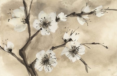 Spring Blossoms IV by Chris Paschke art print