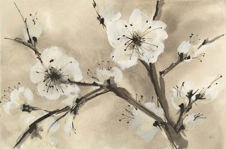 Spring Blossoms III by Chris Paschke art print