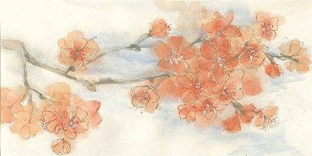 Peach Blossom III by Chris Paschke art print