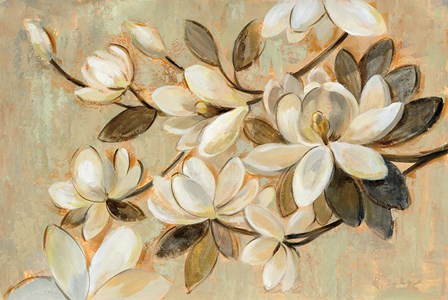Magnolia Simplicity by Silvia Vassileva art print
