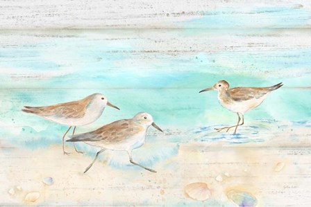 Sandpiper Beach Landscape by Cynthia Coulter art print