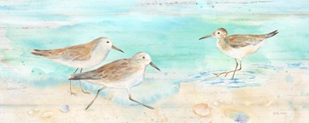 Sandpiper Beach Panel by Cynthia Coulter art print