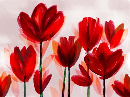 Contemporary Poppies Red by Northern Lights art print