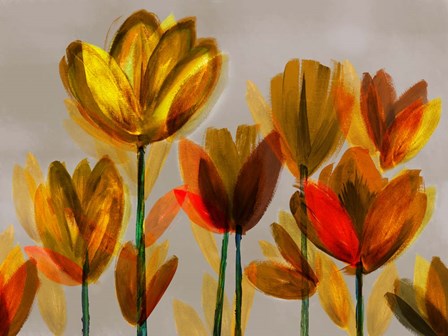 Contemporary Poppies Yellow by Northern Lights art print