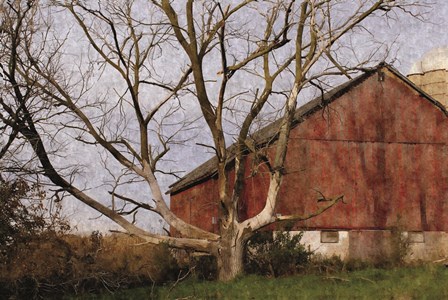 The Old Barn by Denise Romita art print