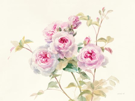 Sweet Roses by Danhui Nai art print